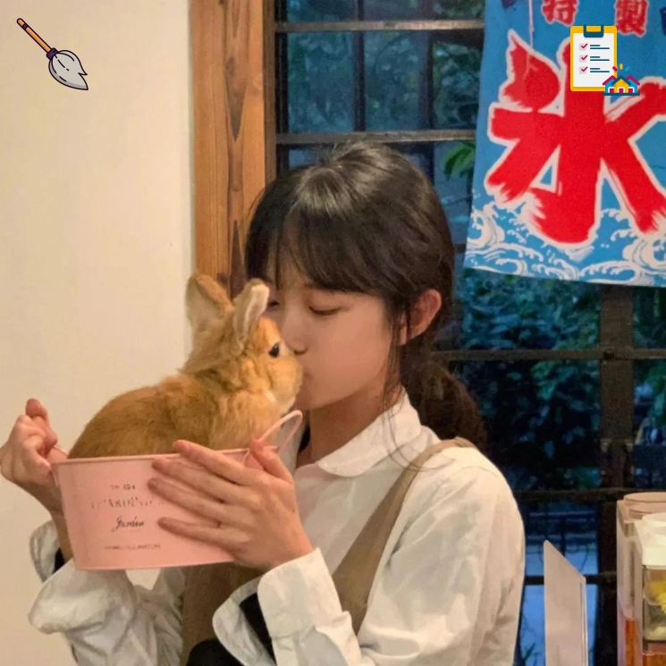 买球站客服支持头像一